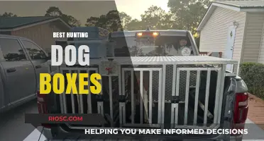 Top-Rated Hunting Dog Boxes: Ultimate Comfort and Durability for Your Canine Companion