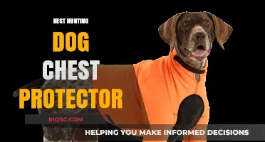 Ultimate Guide to Choosing the Best Hunting Dog Chest Protector for Your Canine Companion