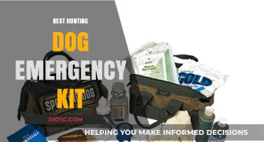 Essential Items for Your Hunting Dog Emergency Kit: Be Prepared for Any Situation