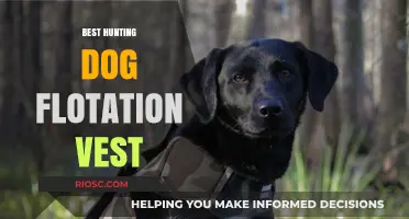 Top-Rated Hunting Dog Flotation Vests: Safety and Comfort for Your Canine Companion