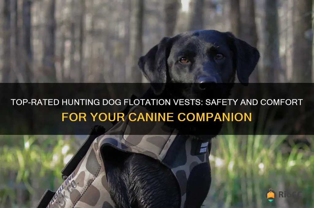 best hunting dog flotation vest