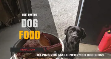 Top-Rated Hunting Dog Food: Fueling Your Canine Companion for Peak Performance