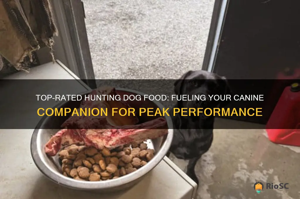 best hunting dog food