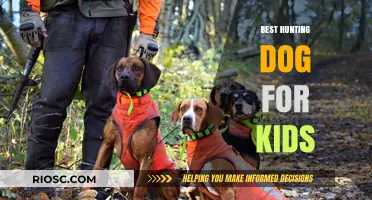 Family-Friendly Hunting Companions: Top Dog Breeds for Kids and Outdoor Adventures