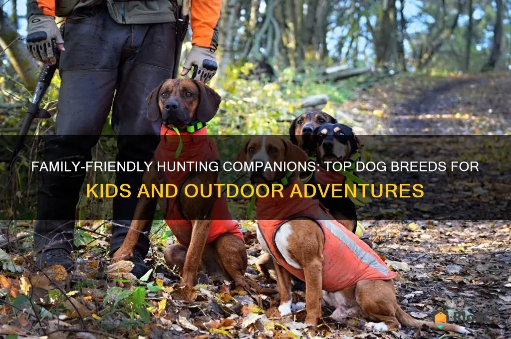 best hunting dog for kids