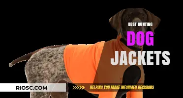 Top-Rated Hunting Dog Jackets: Durable, Weatherproof Gear for Your Canine Companion