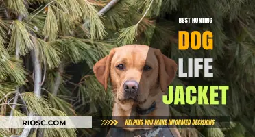 Top-Rated Hunting Dog Life Jackets: Safety and Comfort for Your Canine Companion