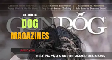 Top Hunting Dog Magazines: Expert Tips, Breed Insights, and Field Trials for Enthusiasts