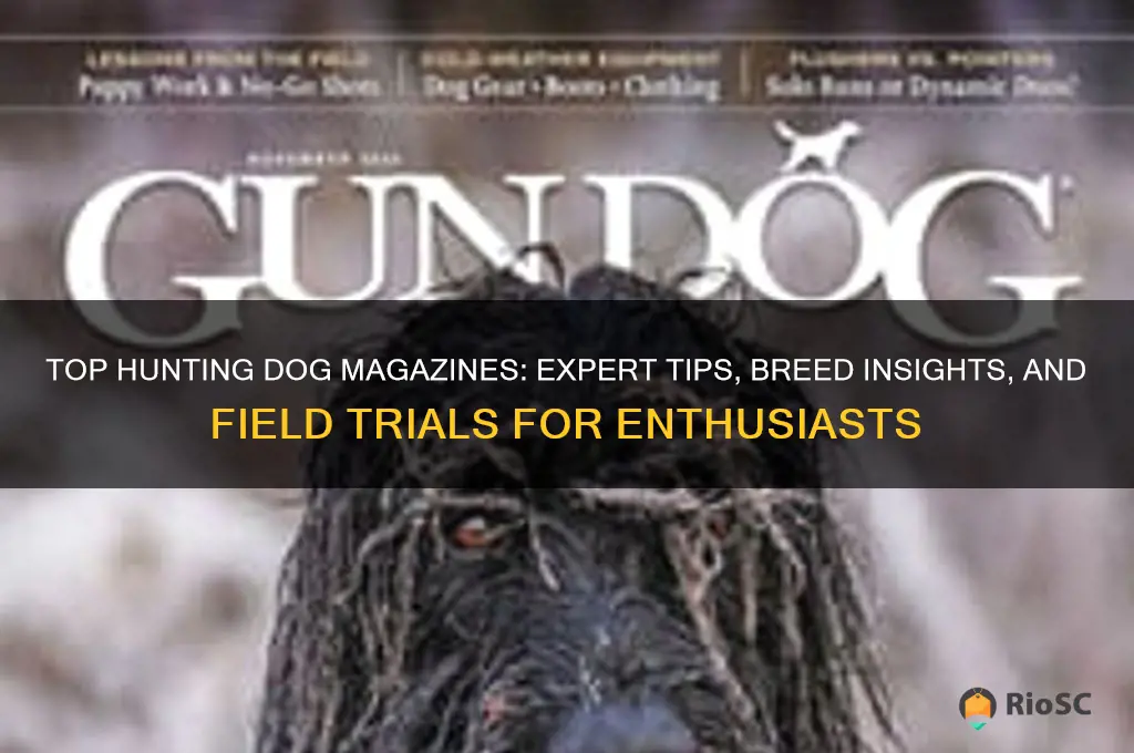 best hunting dog magazines