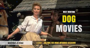 Top Hunting Dog Movies That Will Tug at Your Heartstrings and Ignite Your Adventure Spirit