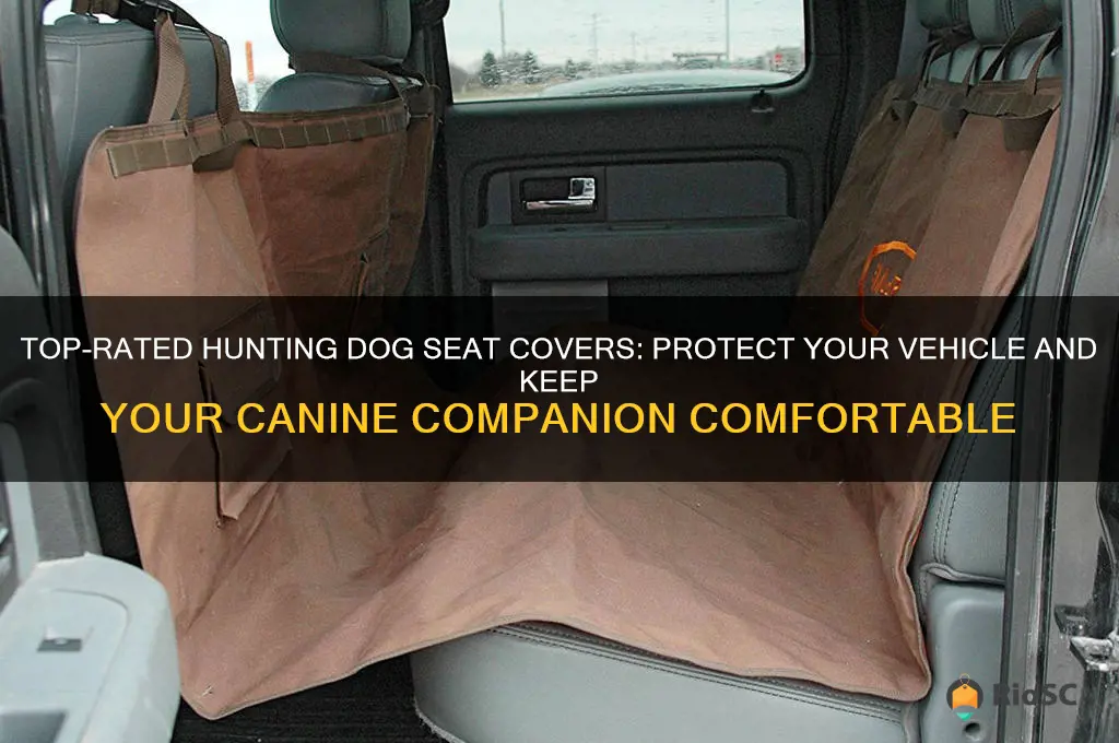 best hunting dog seat cover