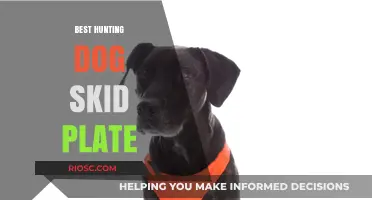 Protect Your Hunting Companion: The Ultimate Guide to Choosing the Best Hunting Dog Skid Plate