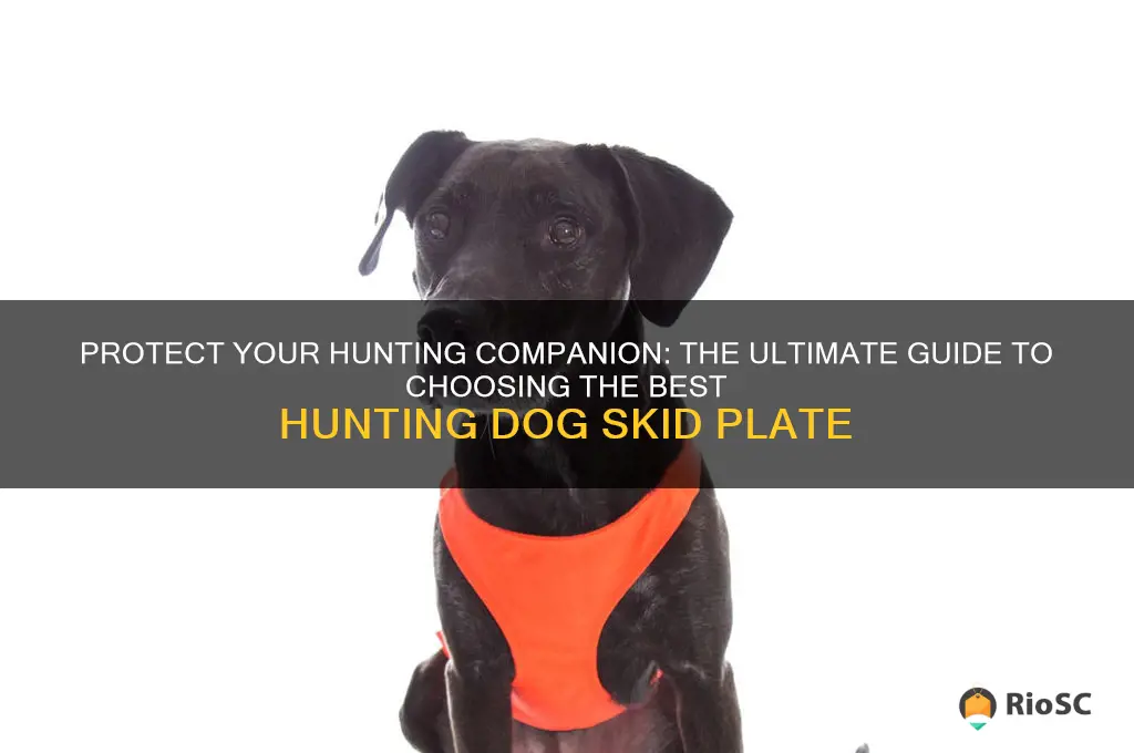 best hunting dog skid plate