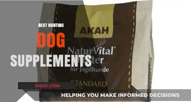 Top Hunting Dog Supplements to Boost Performance and Health in the Field