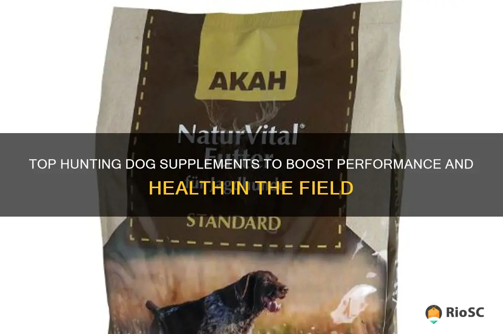 best hunting dog supplements