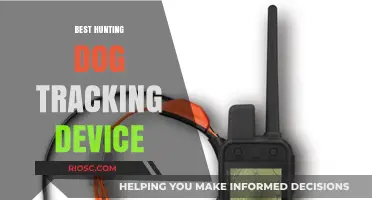 Top-Rated GPS Tracking Devices for Hunting Dogs: Enhance Safety and Efficiency in the Field