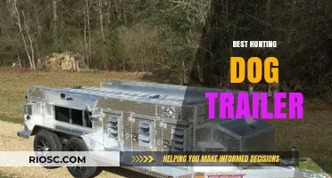Top Features to Look for in the Best Hunting Dog Trailer for Your Outdoor Adventures