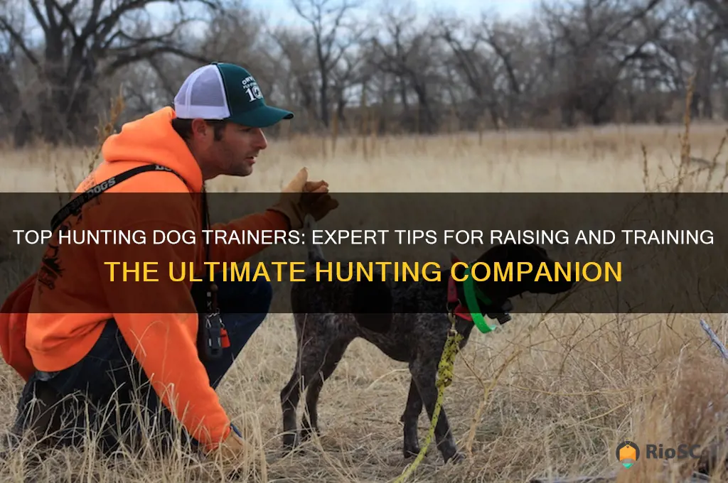 best hunting dog trainers