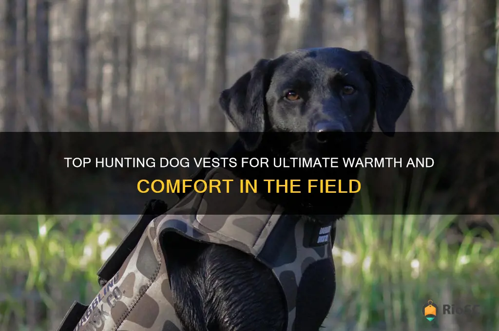 best hunting dog vest to keep dog warm