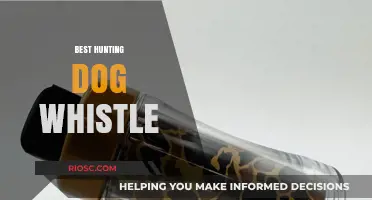 Top Hunting Dog Whistle Picks: Enhance Your Training and Communication in the Field