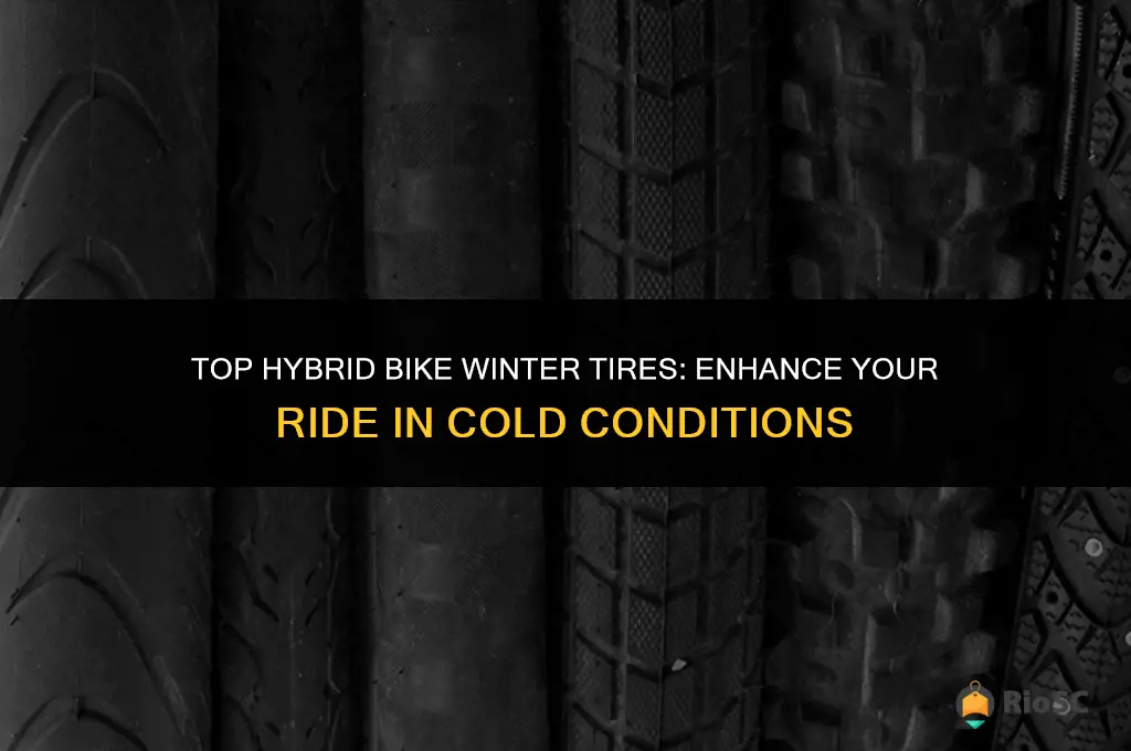 best hybrid bike winter tires