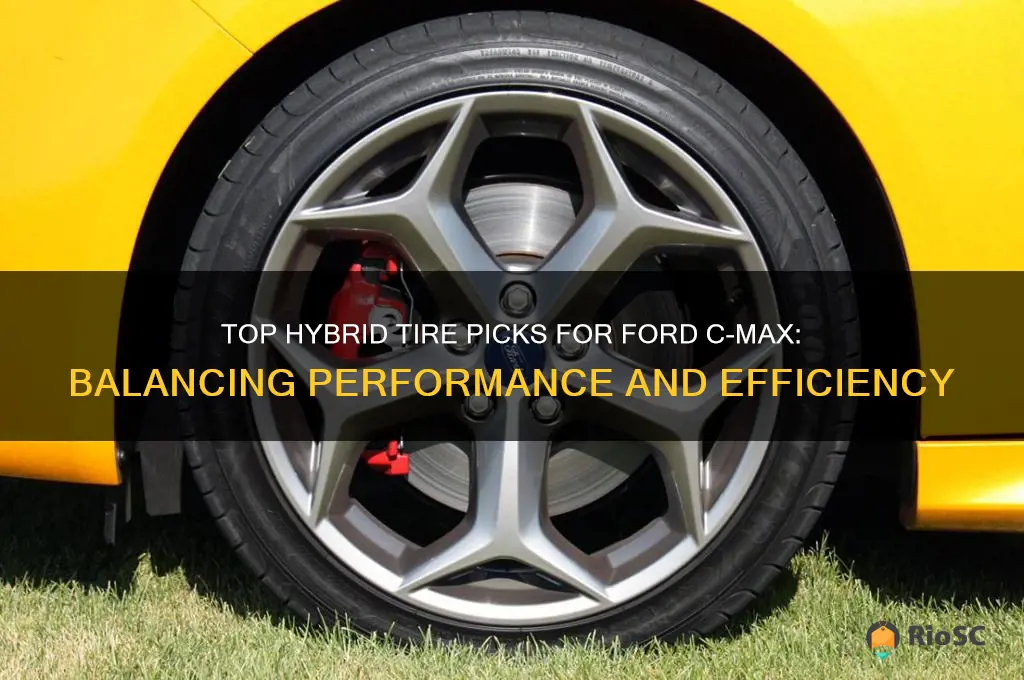 best hybrid tires for ford cmax