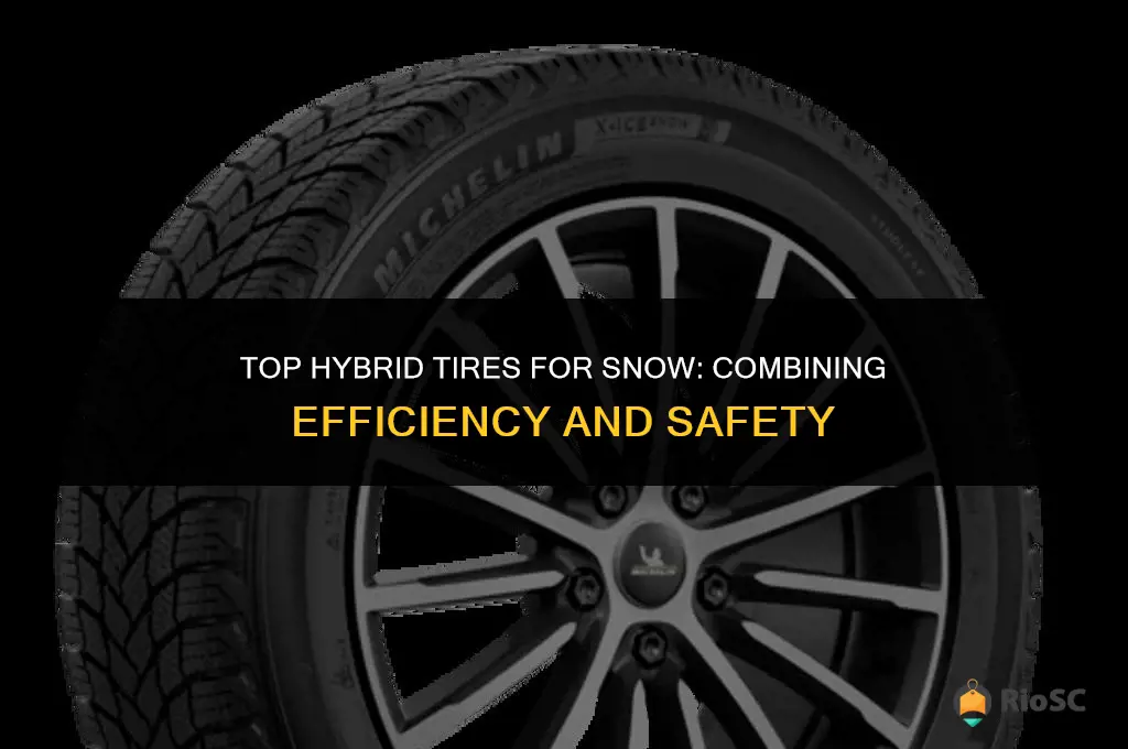 best hybrid tires for snow