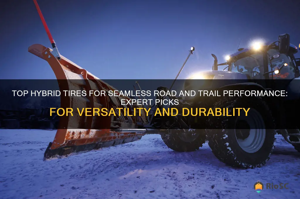best hybrid tires road and trail