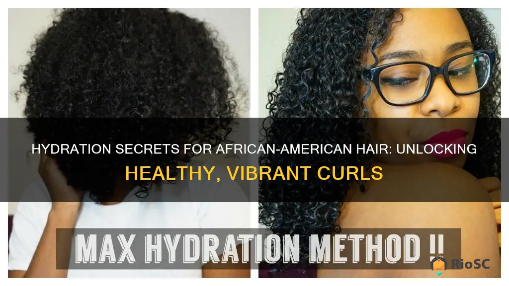 best hydration for african-american hair