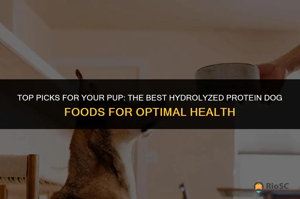 best hydrolyzed protein dog food
