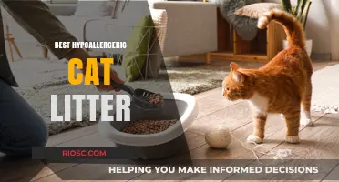 Top Hypoallergenic Cat Litter Options for Sensitive Cats and Owners