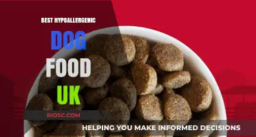Top Hypoallergenic Dog Food Options in the UK: Safe and Nutritious Choices for Sensitive Dogs