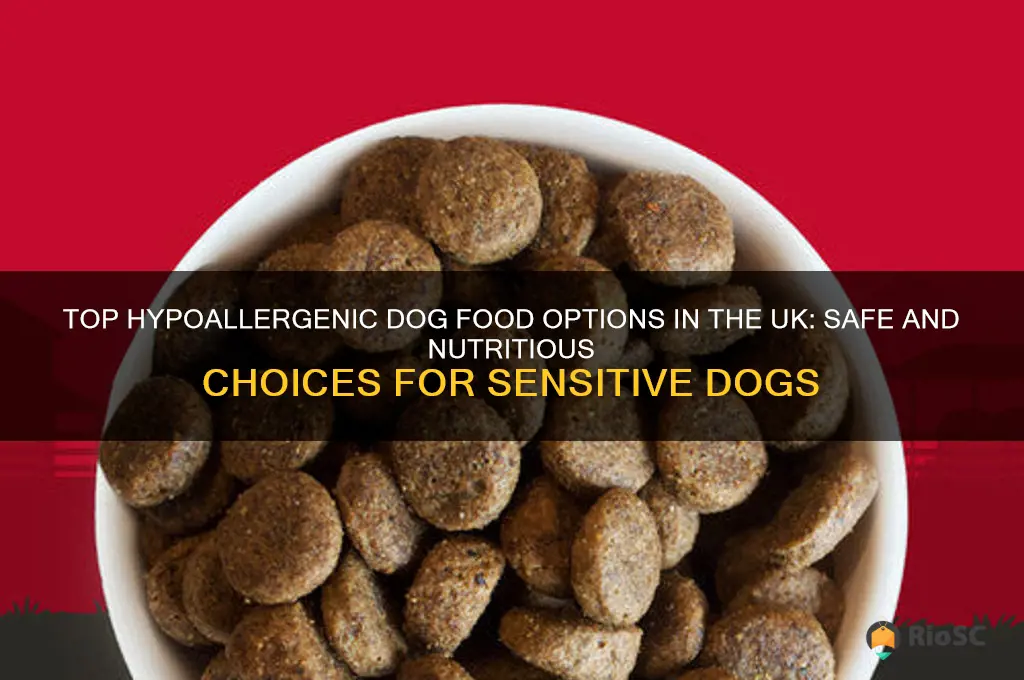 best hypoallergenic dog food uk