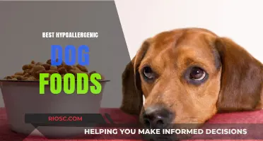 Top Hypoallergenic Dog Foods to Keep Your Pet Healthy and Happy