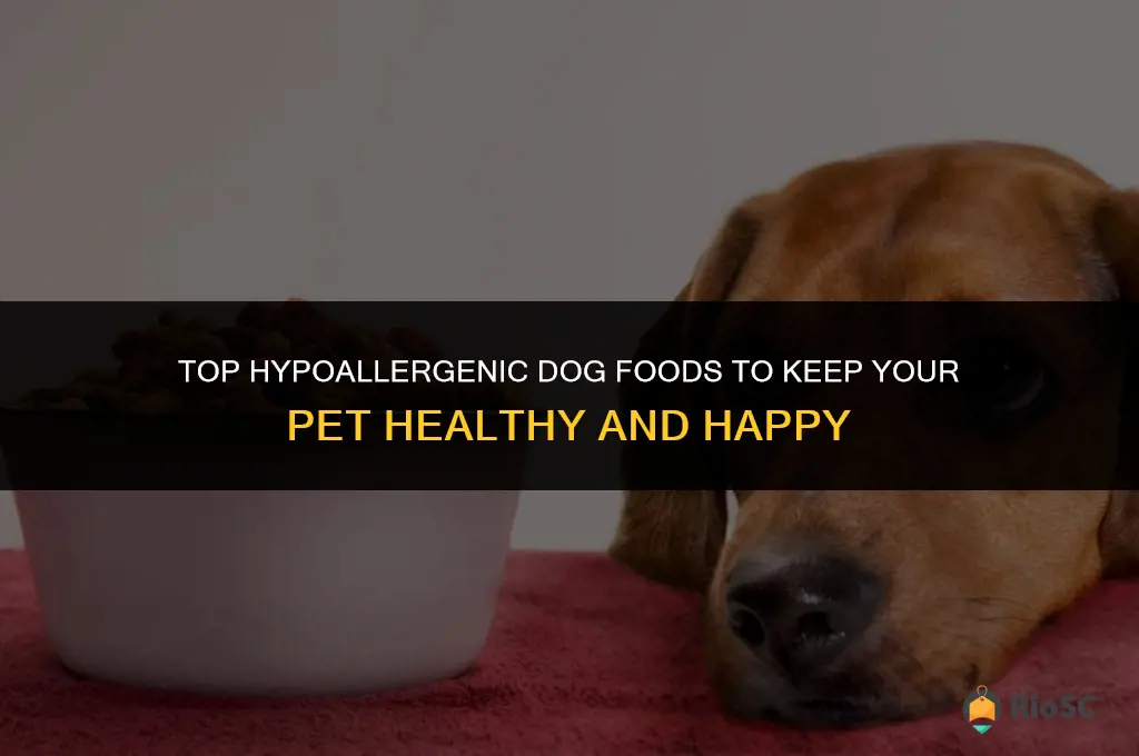 best hypoallergenic dog foods
