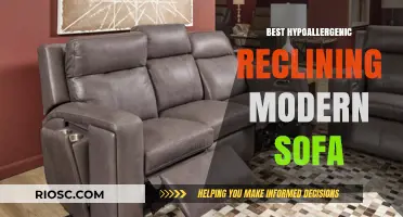 Ultimate Comfort: Discover the Best Hypoallergenic Reclining Modern Sofa for Your Home