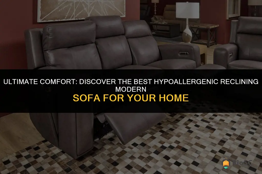 best hypoallergenic reclining modern sofa