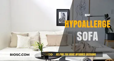 Discover Comfort and Style: The Ultimate Guide to the Best Hypoallergenic Sofas for Your Home