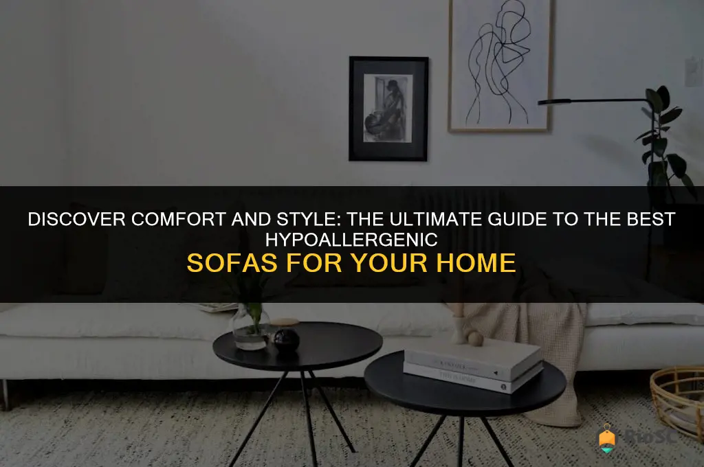 best hypoallergenic sofa