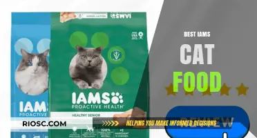 Top Picks for Your Feline Friend: The Best IAMS Cat Food Options