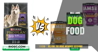 Top Picks for Your Pup: The Best IAMS Dog Food Options for Optimal Nutrition and Health