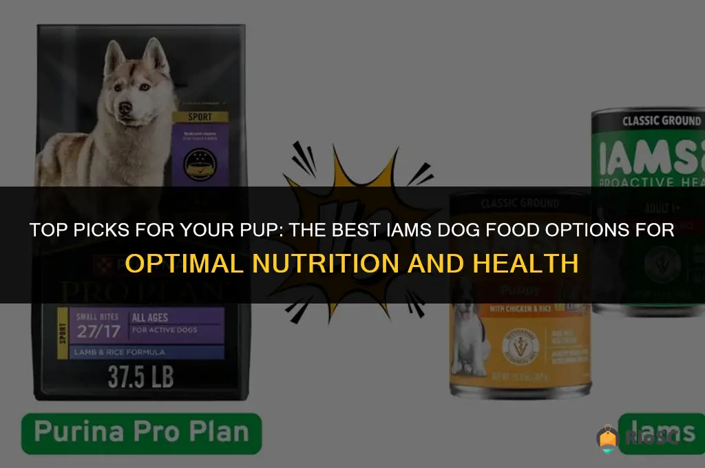 best iams dog food