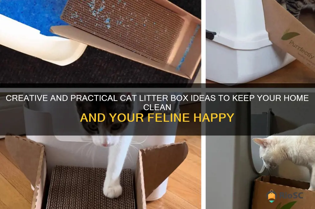 best ideas for cat litter boxes