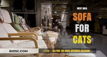 Cozy and Scratch-Resistant: The Ultimate IKEA Sofa Guide for Cat Lovers