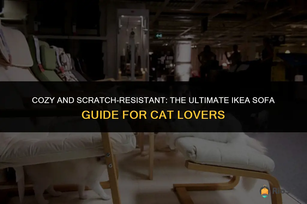 best ikea sofa for cats