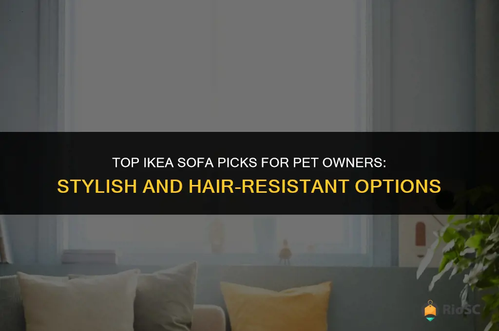 best ikea sofa pet hair