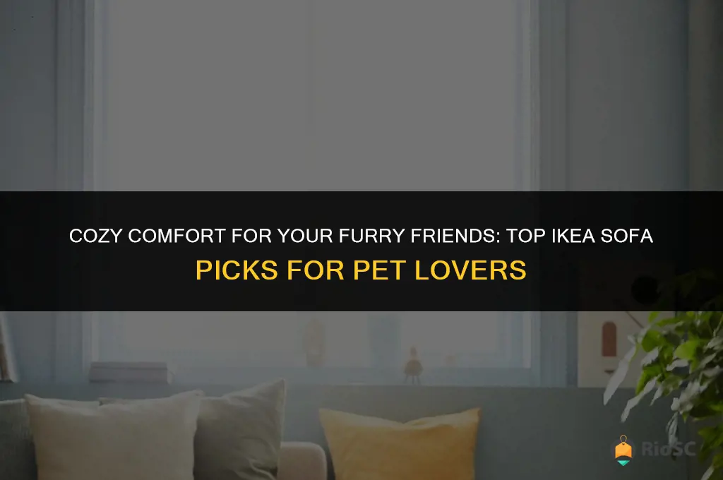best ikea sofa pets