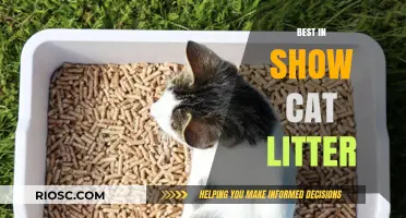 Purr-fectly Clean: The Ultimate Guide to Choosing the Best in Show Cat Litter