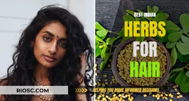 Herbal Hair Care: Discovering India's Ancient Secrets for Healthy Hair