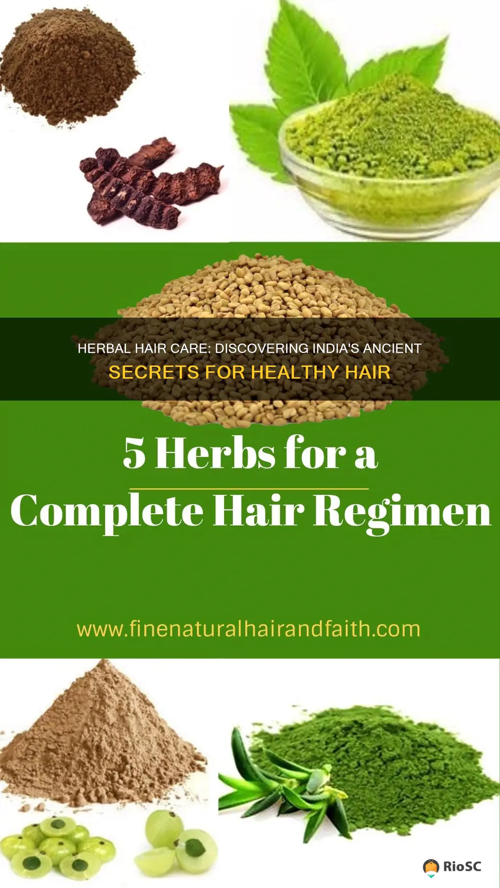 best indian herbs for hair